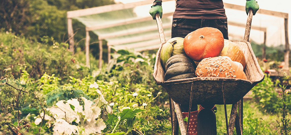 Comités techniques agricoles